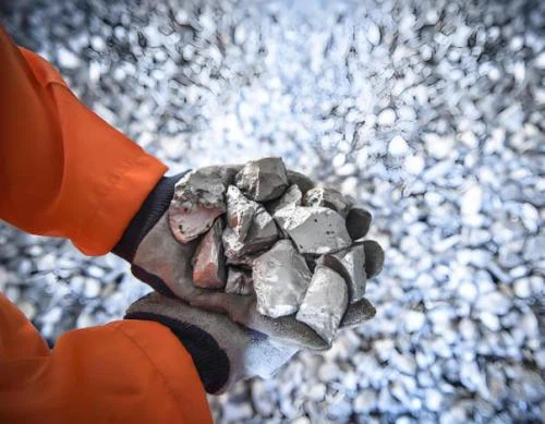 news-500-389 news-500-389